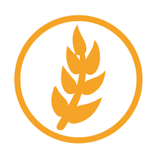icon - /uploads/s/x/b/x/xbxxs9hay0tu/img/full_7WrfjNms.png